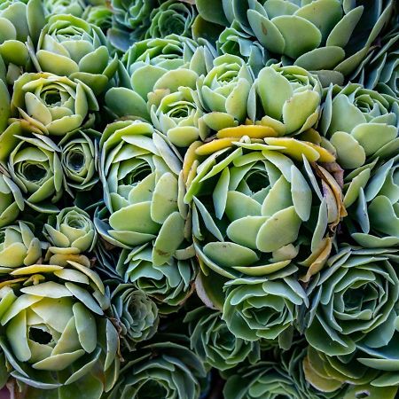 Agriturismo Salcino غروسيتو المظهر الخارجي الصورة