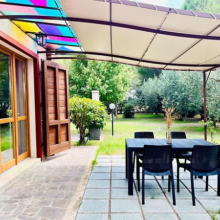Agriturismo Salcino غروسيتو المظهر الخارجي الصورة