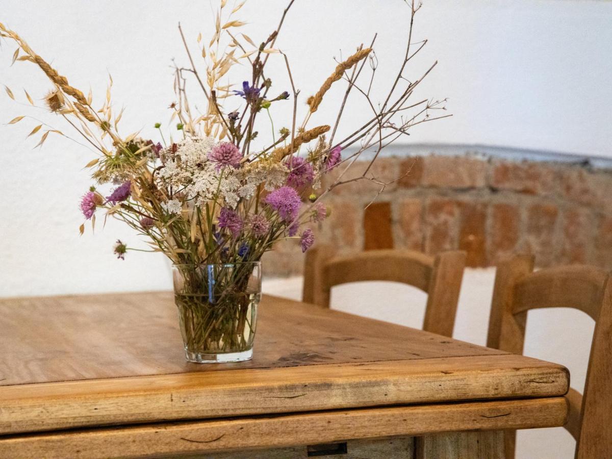 Agriturismo Salcino غروسيتو المظهر الخارجي الصورة