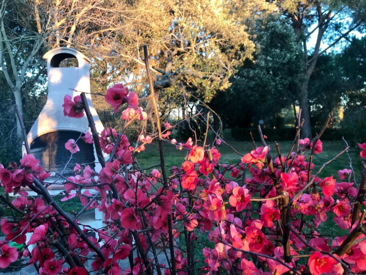 Agriturismo Salcino غروسيتو المظهر الخارجي الصورة