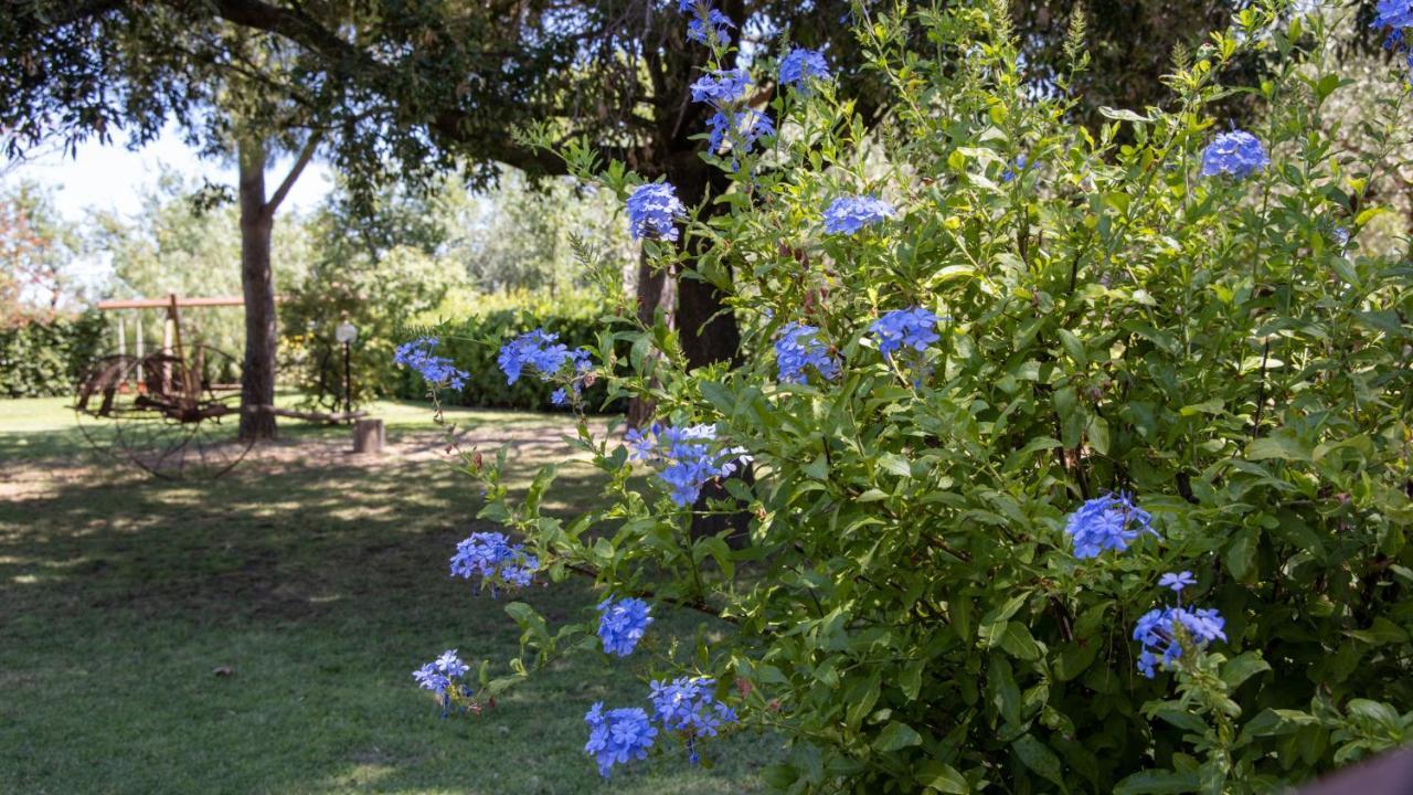 Agriturismo Salcino غروسيتو المظهر الخارجي الصورة