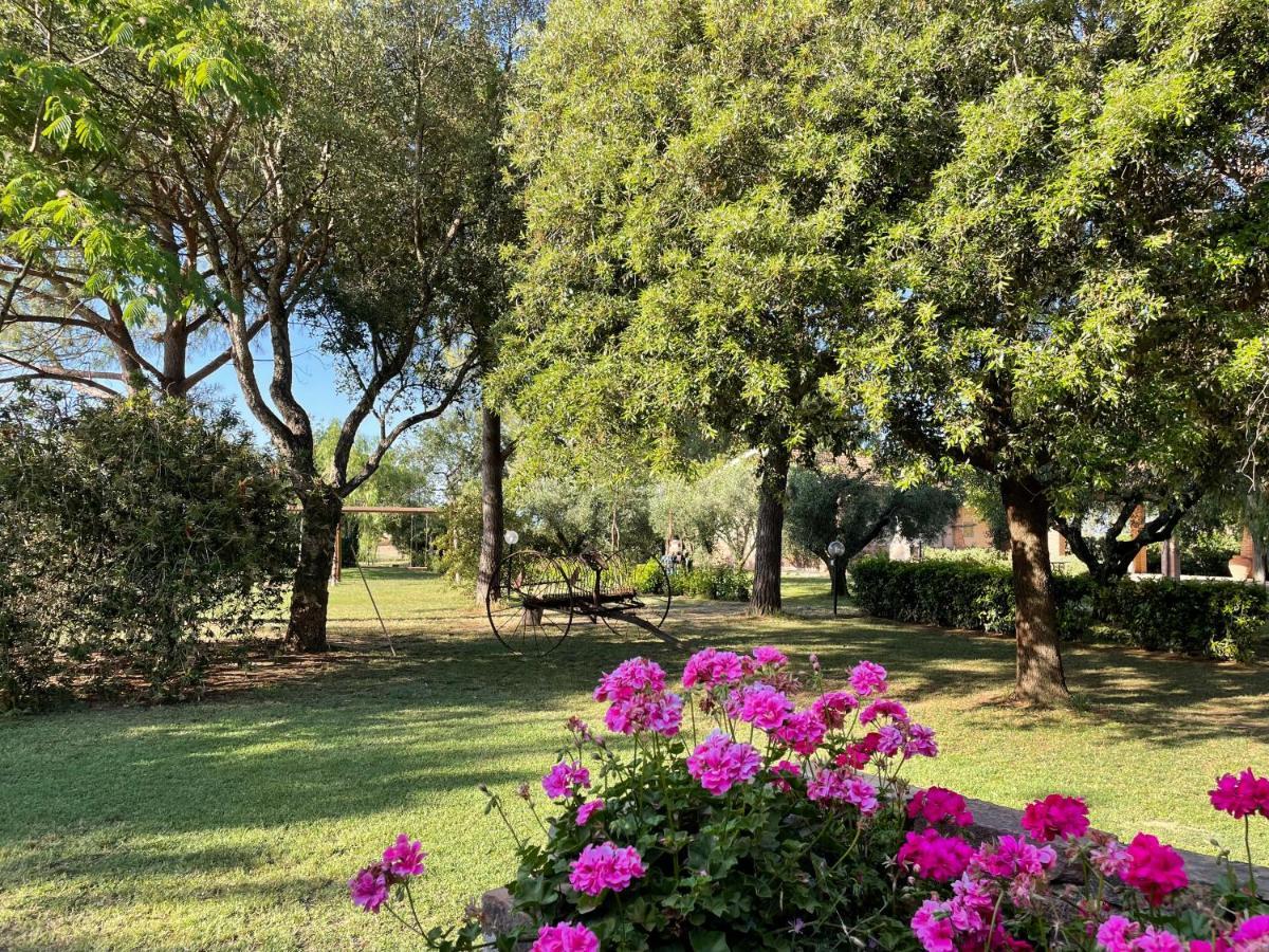 Agriturismo Salcino غروسيتو المظهر الخارجي الصورة