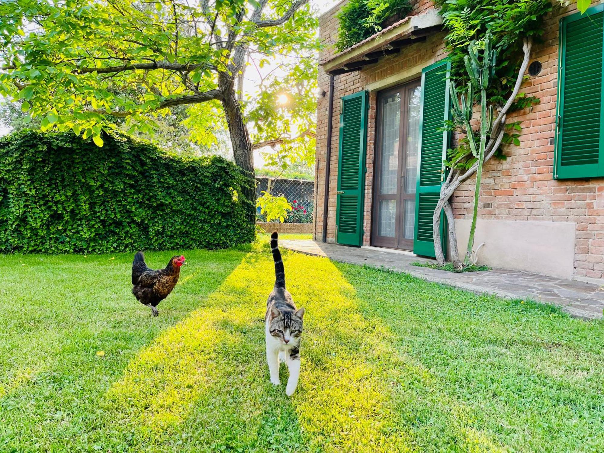 Agriturismo Salcino غروسيتو المظهر الخارجي الصورة
