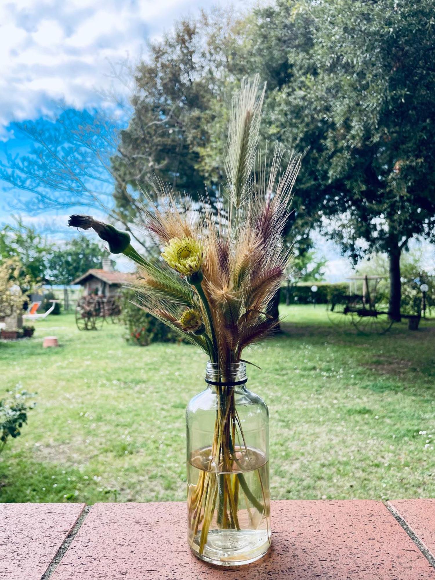 Agriturismo Salcino غروسيتو المظهر الخارجي الصورة