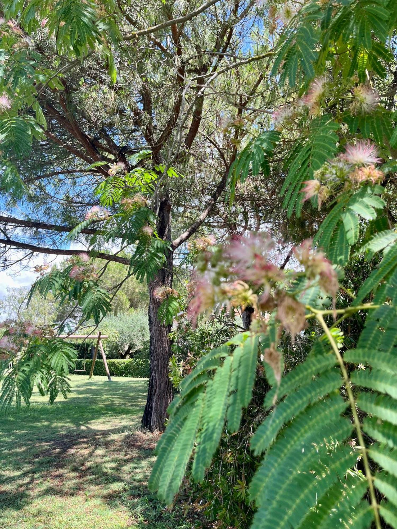 Agriturismo Salcino غروسيتو المظهر الخارجي الصورة