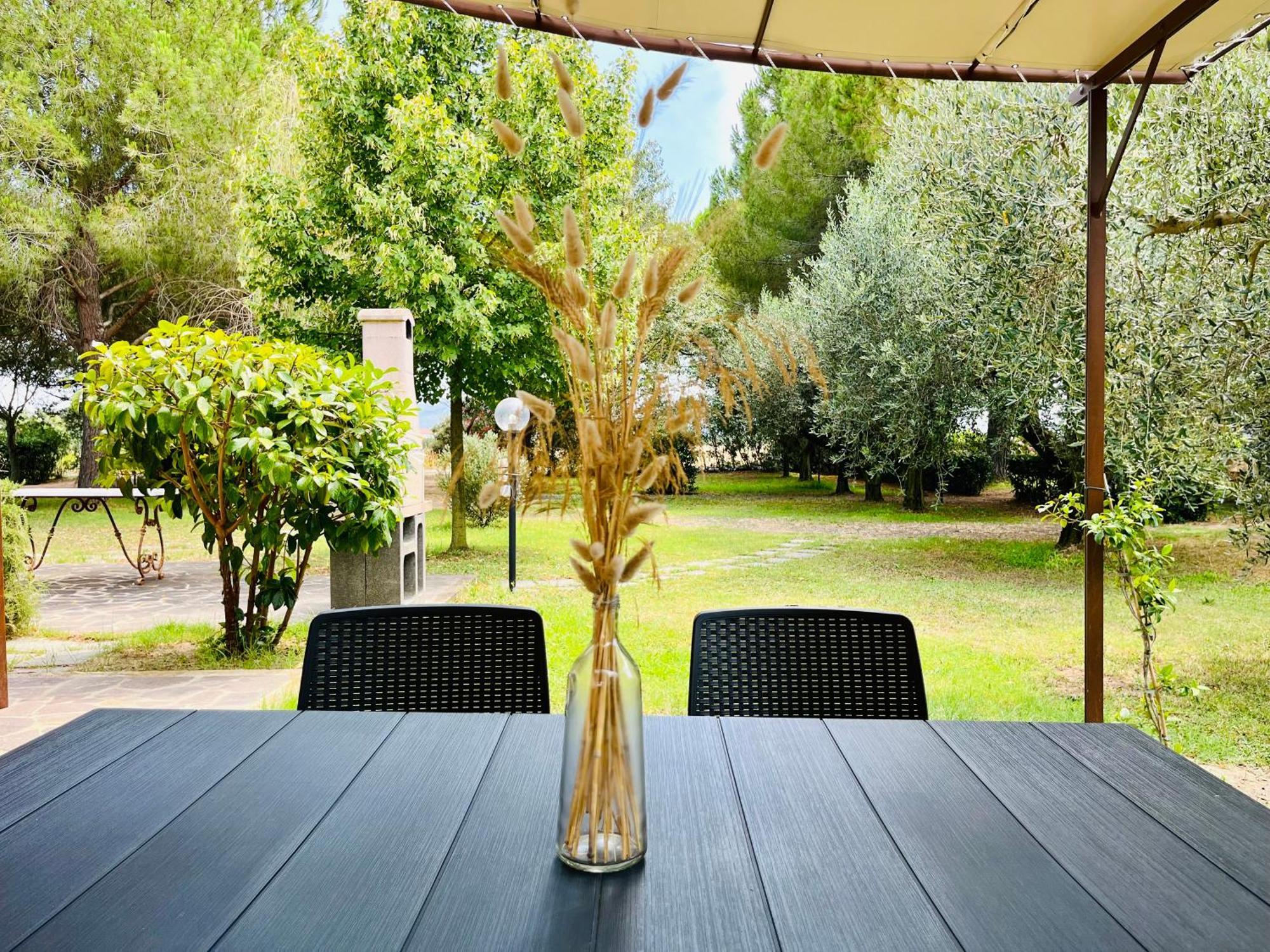 Agriturismo Salcino غروسيتو المظهر الخارجي الصورة